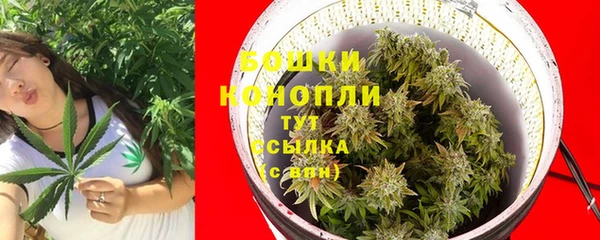 первитин Краснослободск