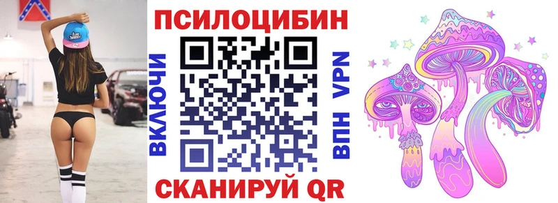 Галлюциногенные грибы Psilocybe  Купить  Зеленогорск 