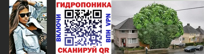 Каннабис OG Kush  Купить  Зеленогорск 